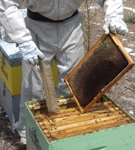 meliMparakis_production (1)