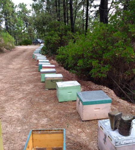 meliMparakis_production (3)