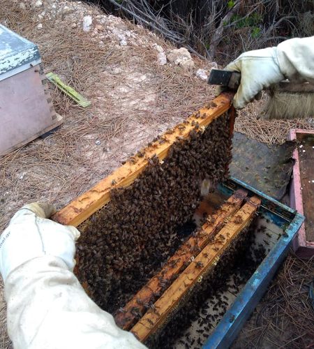 meliMparakis_production (4)